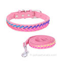 Collier et laisse de chien super bling coloré et laisse